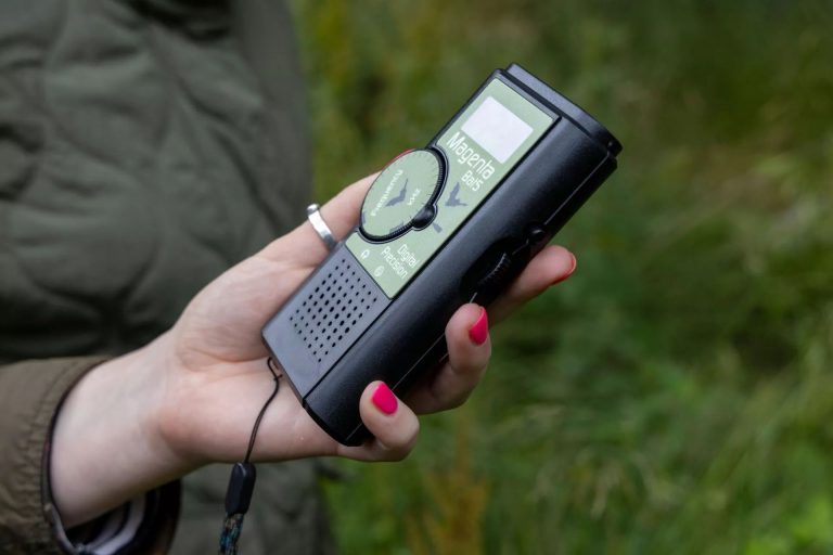Bat detector device for bat walk at a Scottish estate