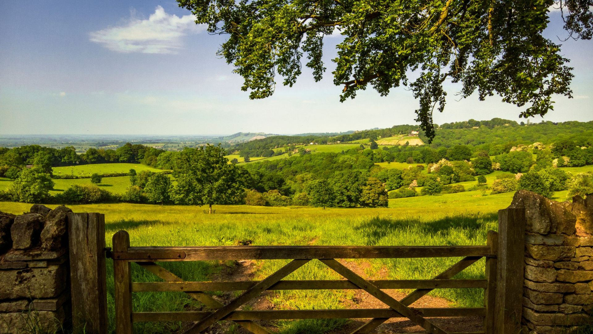 View across a fence into a green field in the Cotswolds