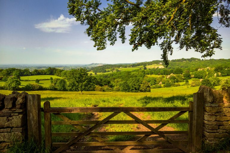 View across a fence into a green field in the Cotswolds