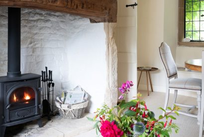 The log-burning stove in the reception room at Fig Tree Cottage, Cotswolds