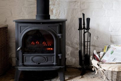 The wood-burning stove in the reception room at Fig Tree Cottage