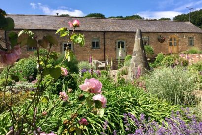 The gardens at Rabbitdale Barn, Yorkshire