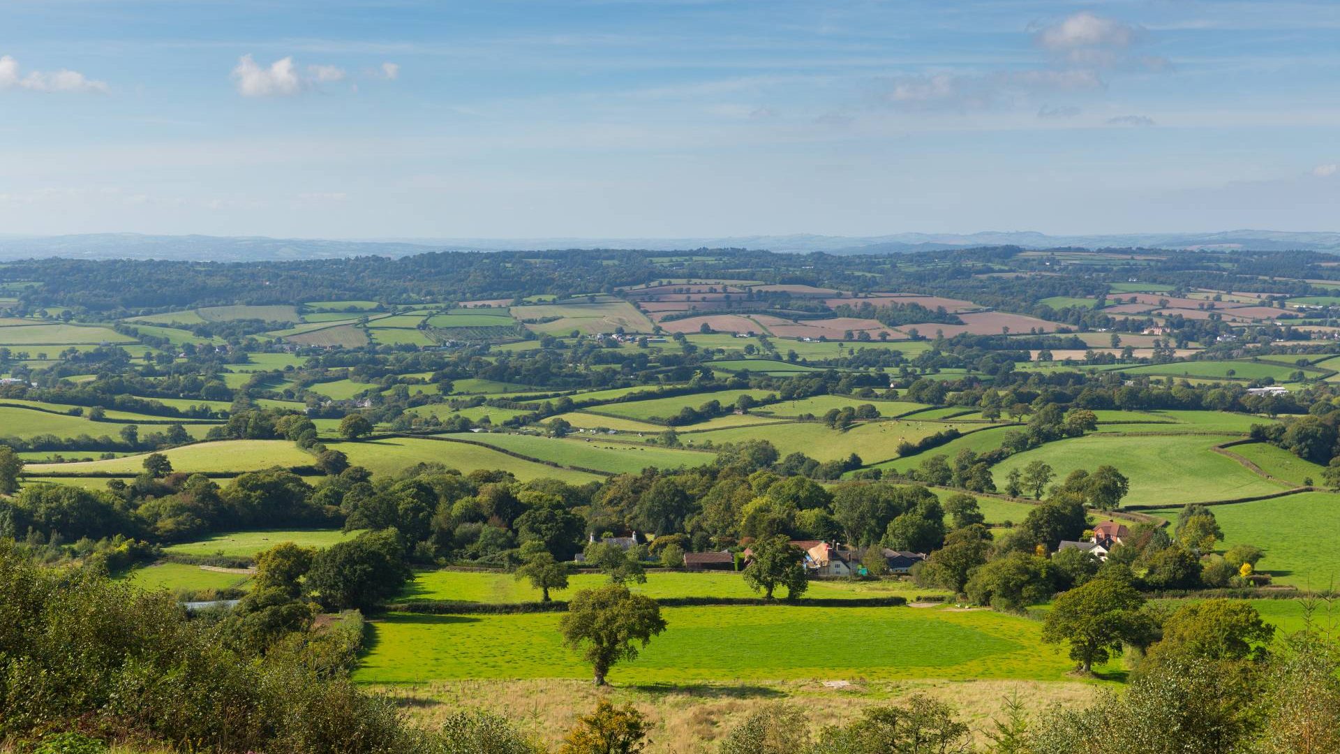 Blackdown Hills countryside in Somerset