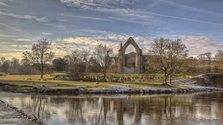 Sheep grazing in front of Bolton Abbey
