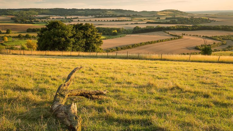A sunset view over farmland in Chiltern Hills