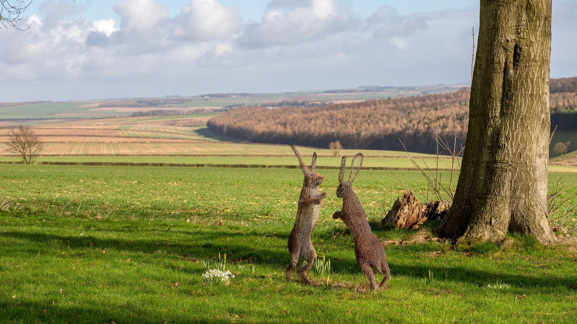 Two wire sculpture hares in field at Cowdale Cottage in Yorkshire