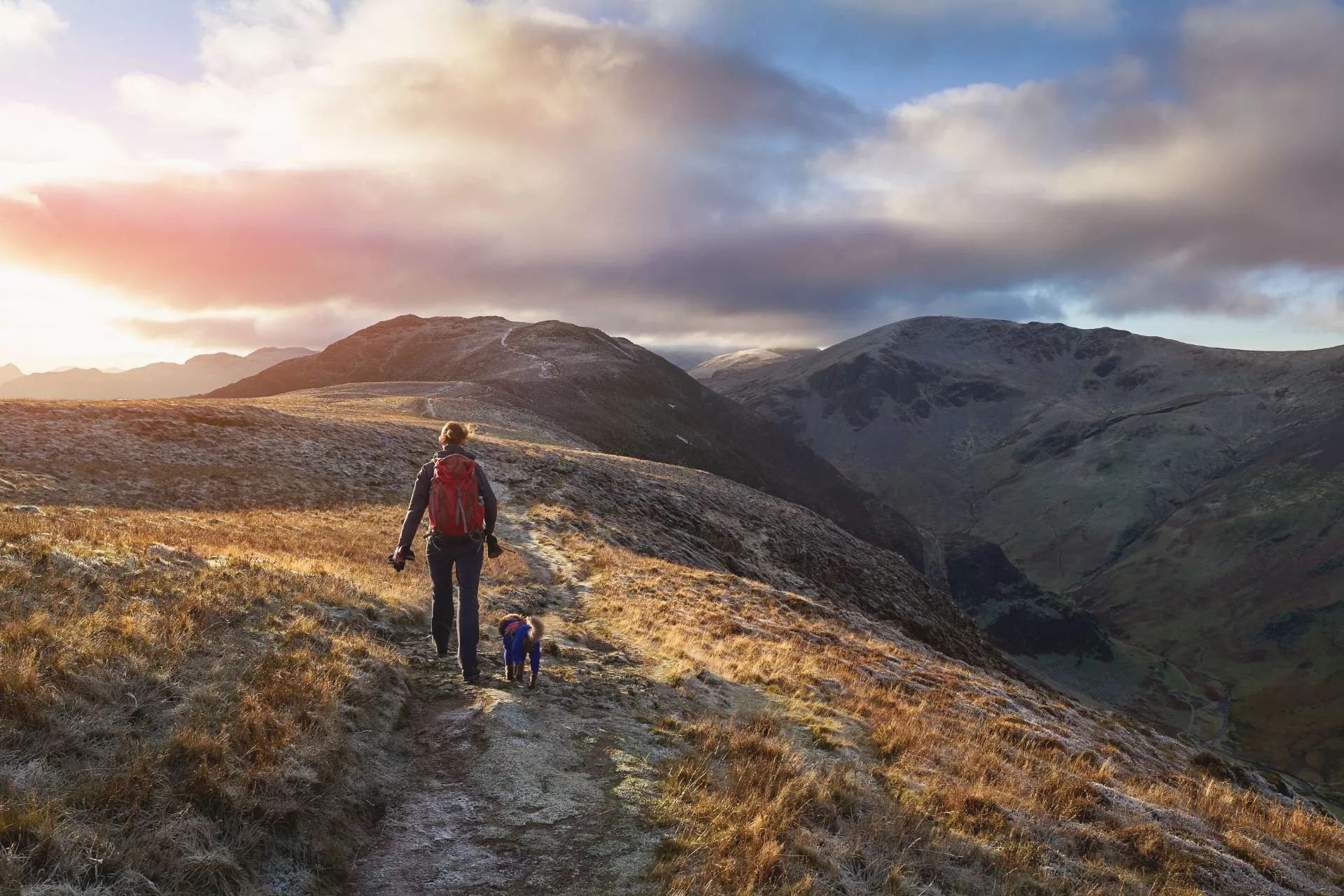 Luxury Holiday Cottages Lake District Dog Friendly