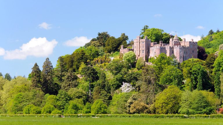 Dunster Castle on a hill surrounded by woodland