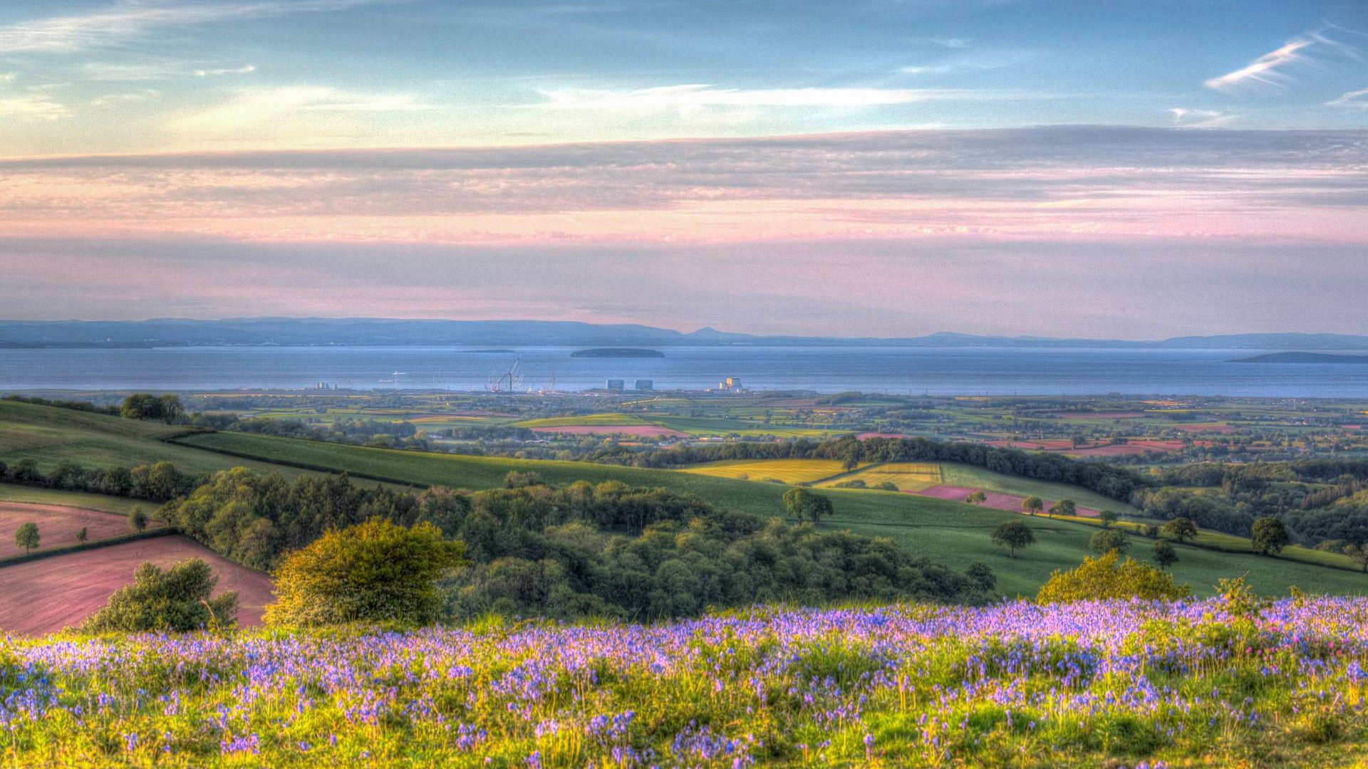 view of flower fields on Quantock Hills in Somerset