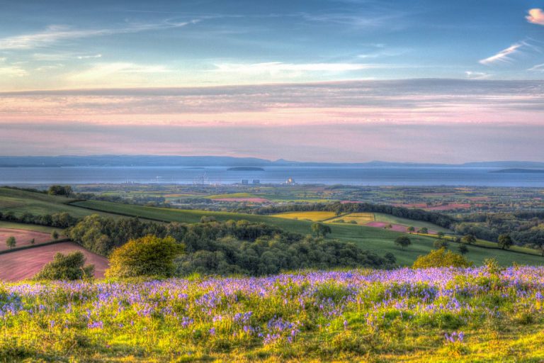 view of flower fields on Quantock Hills in Somerset