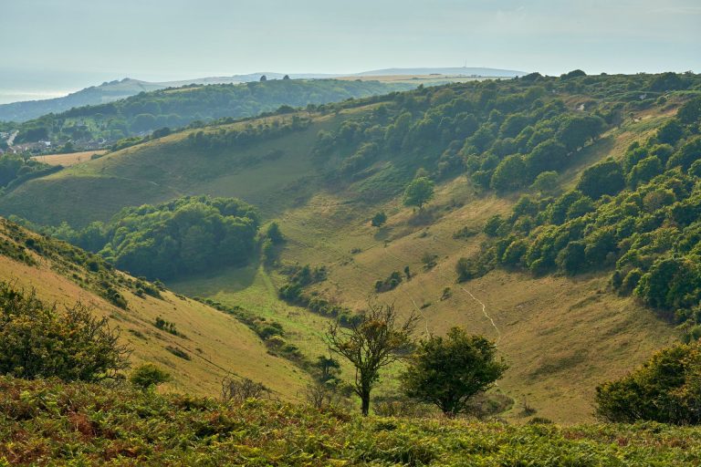 Hills and countryside of St Boniface Down On The Isle Of Wight