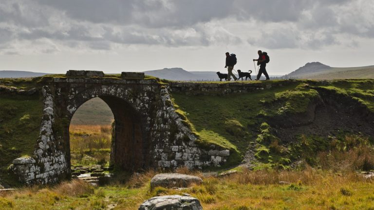 Owners and their dogs walking over a bridge