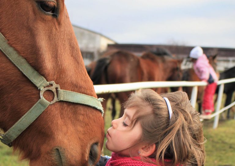Little girl kissing brown hose on the nose