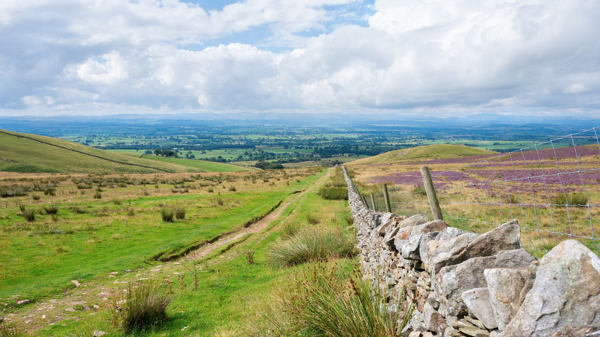 Walking path through the green grassy hills of the Pennine Way National Trail in Cumbria