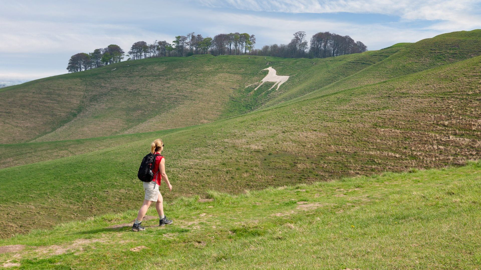 Lady walking in Wiltshire up the hill where the ancient Cherhill White Horse chalk carving is