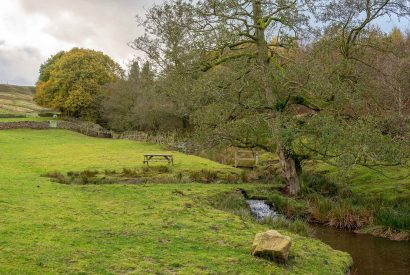The woodlands at Bilberry Bank Cottage, Yorkshire