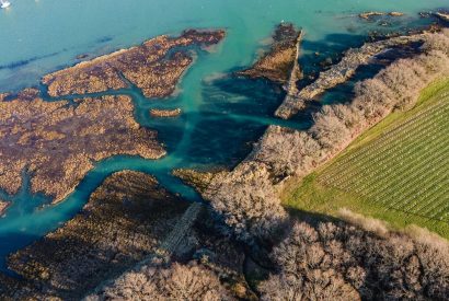 An aerial of the garden and sea at Brickworks and Vines, Isle of Wight