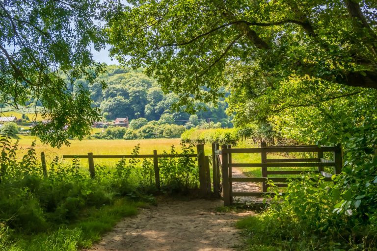 Footpath with gate leading to a field in the countryside at Knighton, Powys