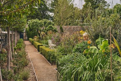 A pathway in the shared garden at Sunflower Cottage, Vale of Glamorgan
