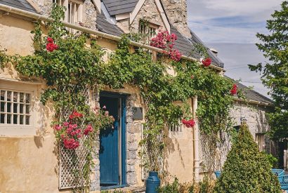 Roses framing the front door at Camassia Cottage, Vale of Glamorgan