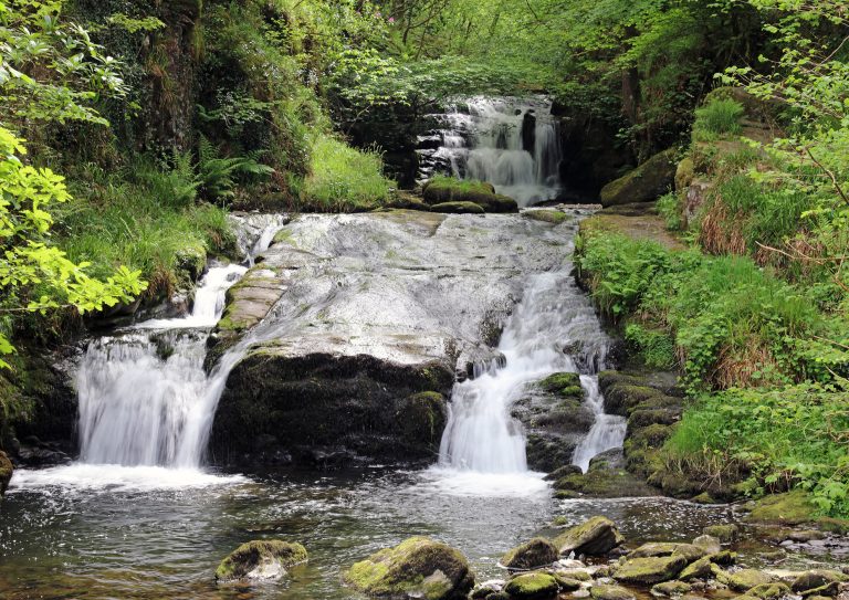 The National Trust site of Watersmeet is where the East Lynn and Hoar Oak Water come together and flow through deep gorges lined with ancient woodland