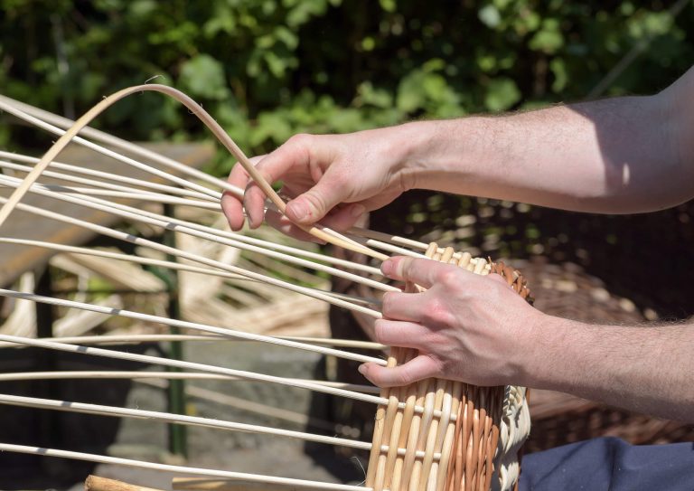 Willow weaving a basket