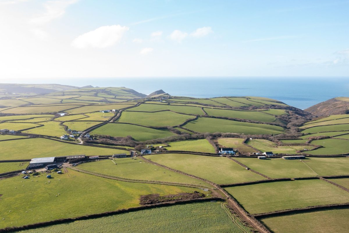The surrounding countryside and sea at Millook View Farmhouse, Cornwall