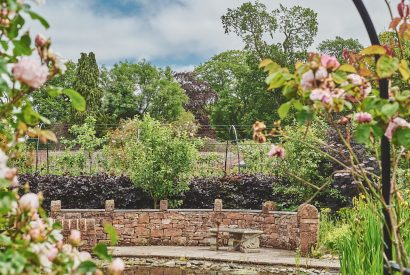 The gardens at Gardeners Cottage, Cumbria
