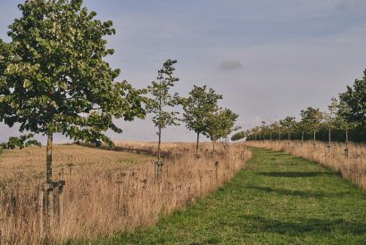 The countryside surrounding America Farm, Oxfordshire