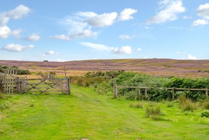 The moorlands and heathers surrounding High Moor Cottage, Yorkshire