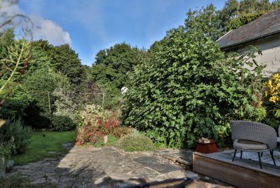 The garden at Bluebell Cottage, Devon