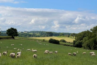 Rolling countryside views at Piglet's Hideaway, Cotswolds