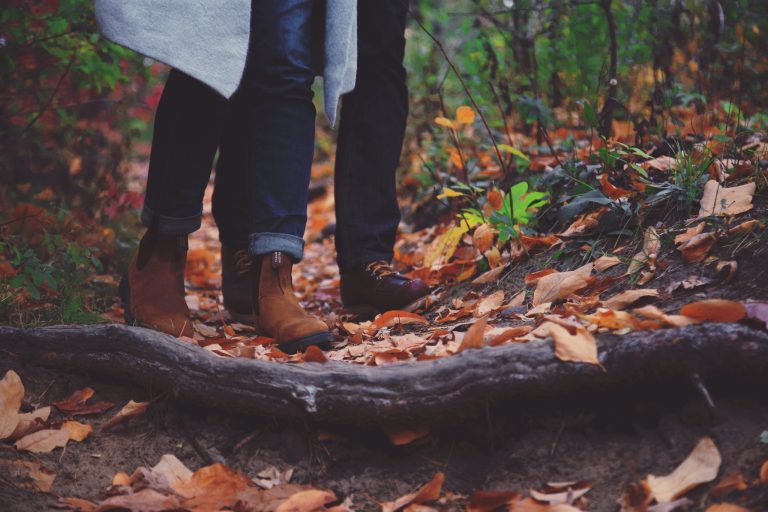 Crunchy leaves in Autumn