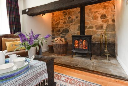 The log burner at Plas Newydd, Llyn Peninsula