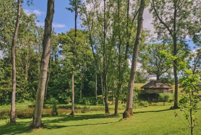 Woodland at Stargazer, Malvern Hills