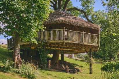 Outdoor space at Stargazer, Malvern Hills