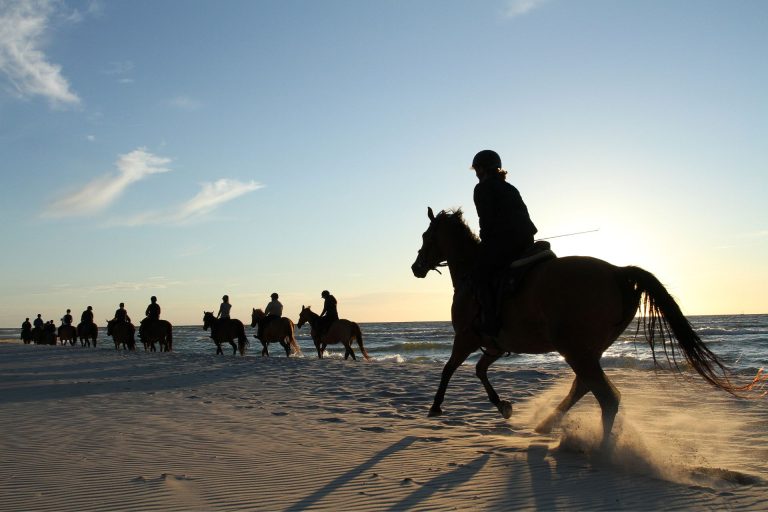 Horse riding on the beach