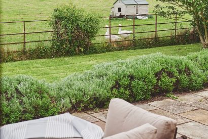 The garden at Apple Tree Cottage, Cotswolds