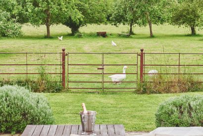 The garden and view at Apple Tree Cottage, Cotswolds