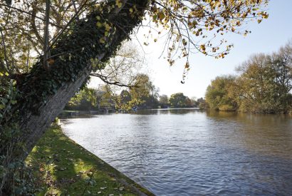 The river by Riverside View, Chiltern Hills