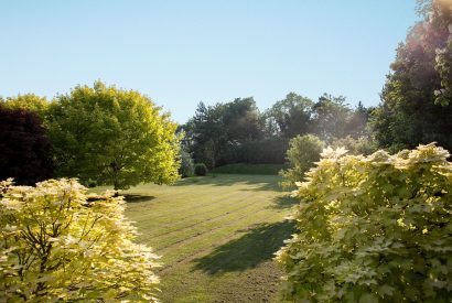 The gardens at Hockham Grange, Norfolk Coast