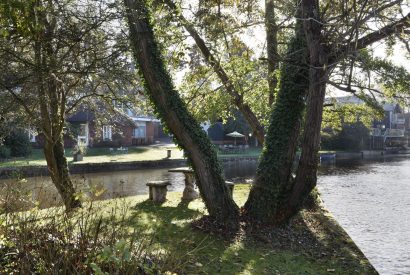 The river by Riverside View, Chiltern Hills