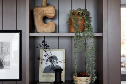 A set of shelves at The Reserve, Cotswolds