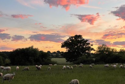 Rolling countryside views at Piglet's Hideaway, Cotswolds