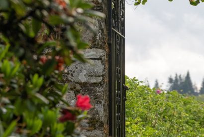 The grounds at Aberfeldy House, Perthshire