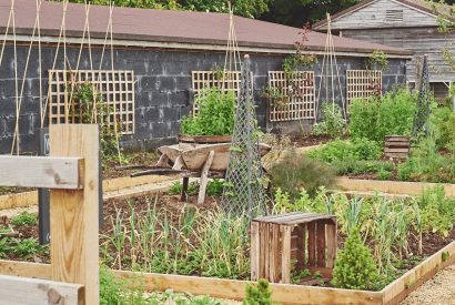 The garden at The Barnhouse, Hampshire