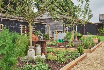 The garden at The Barnhouse, Hampshire