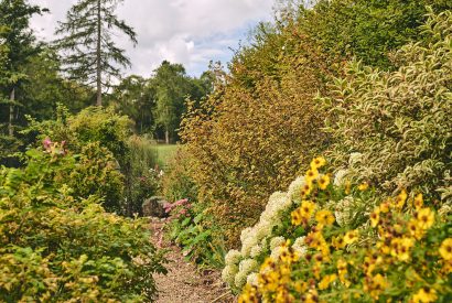 The garden at Withington Grange, Cotswolds 