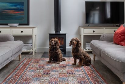 The sitting room at Bix Cottage, Chiltern Hills