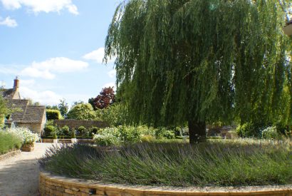 The garden at Willow Cottage, Cotswolds